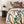 Load image into Gallery viewer, Pure Linen Duvet Cover Set
