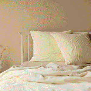 Venus Cotton Velvet Pillowcase