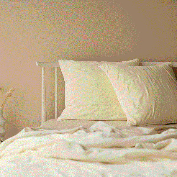 Venus Cotton Velvet Pillowcase