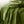 Load image into Gallery viewer, Venus Cotton Velvet Quilted Coverlet
